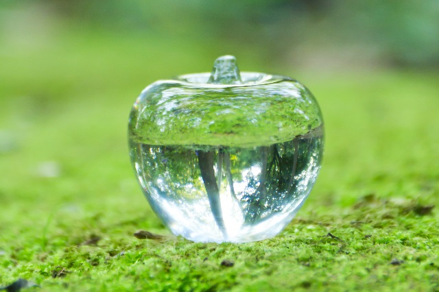 3秒で透明化！画像背景を透明にするならこのサイトで決まり！