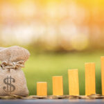 年間10億円規模の大手企業オウンドメディア事業を抜けて感じたお金よりも大事なこと